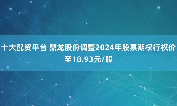 十大配资平台 鼎龙股份调整2024年股票期权行权价至18.93元/股