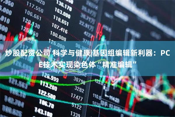 炒股配资公司 科学与健康|基因组编辑新利器：PCE技术实现染色体“精准编辑”