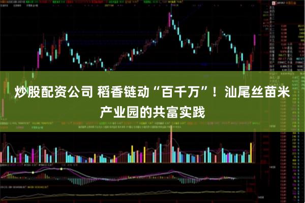 炒股配资公司 稻香链动“百千万”！汕尾丝苗米产业园的共富实践