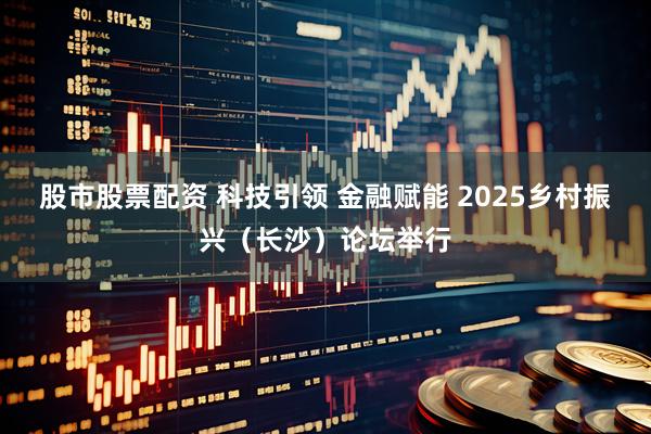 股市股票配资 科技引领 金融赋能 2025乡村振兴（长沙）论坛举行